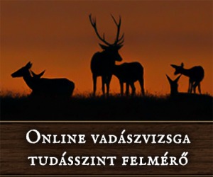 Online vadászvizsga teszt