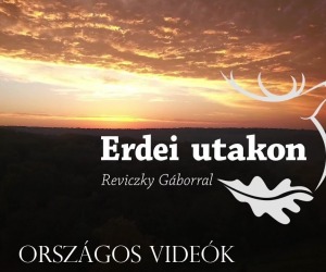 Hazai Vadász Magazin - a Veszprém megyei Vadászkamara partnere